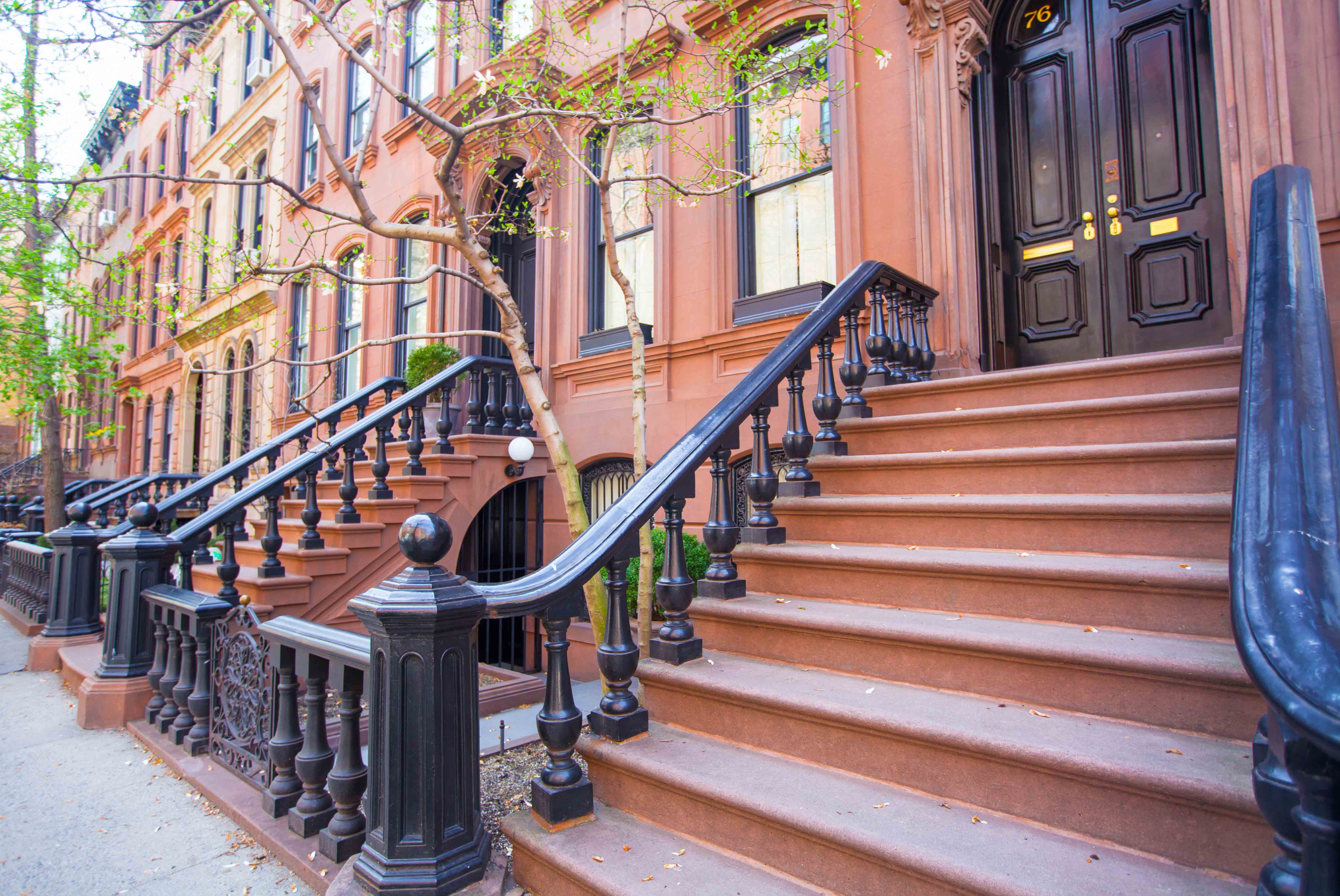 Brooklyn brownstone street near Prospect Park